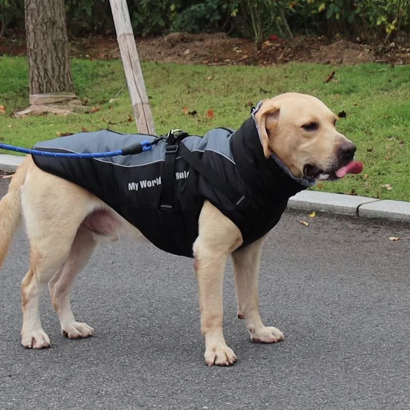 Hundemantel für kaltes Wetter - TOYONE