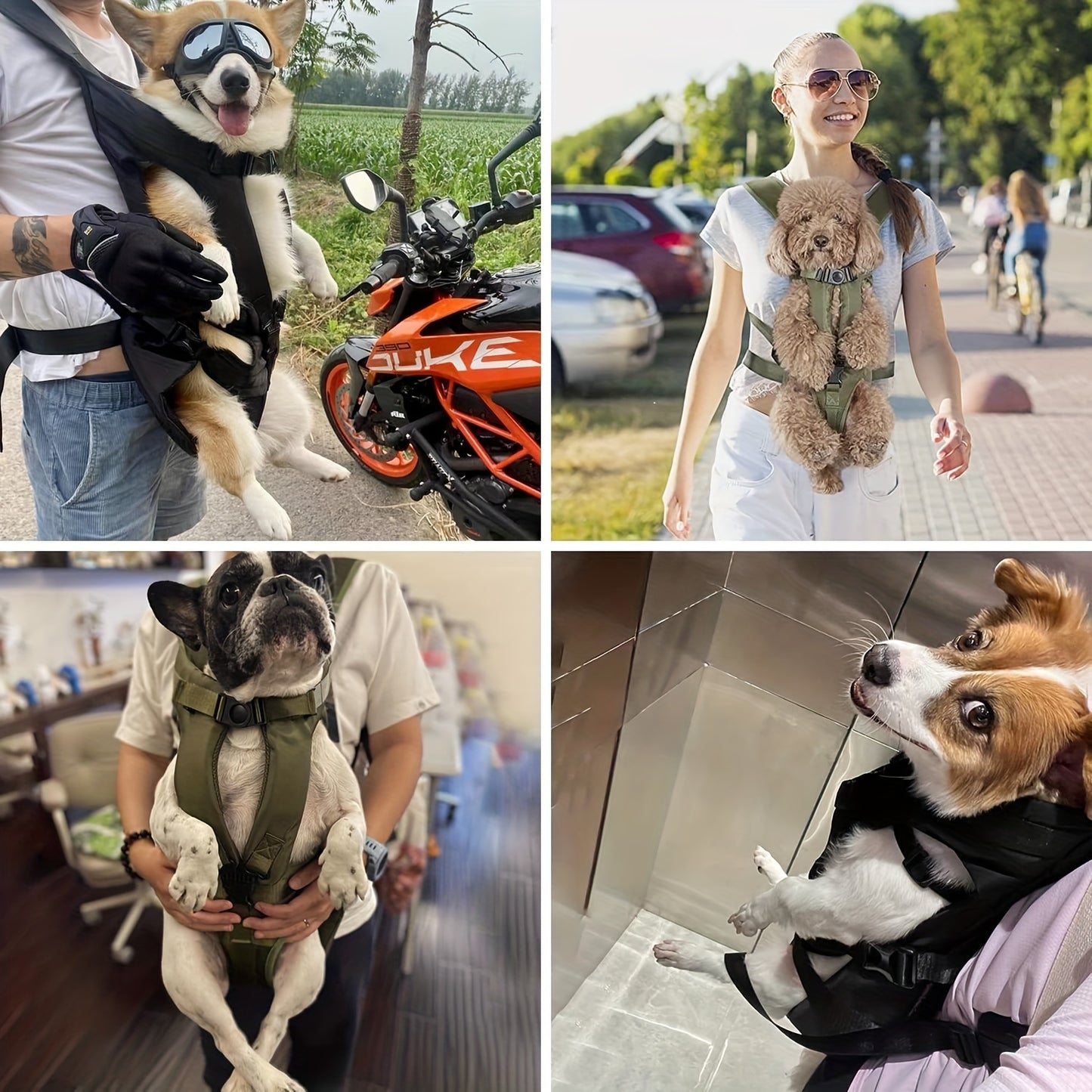 Pet Rucksack für kleine bis mittelgroße Tiere - SHINSHIRO